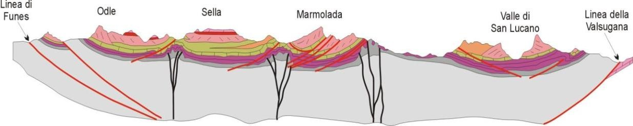 Le relazioni paleogeografiche e i rapporti verticali