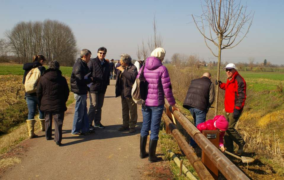 PIANTAGIONE DEGLI ALBERI PER REALIZZARE IL VIALE LUNGO LA PISTA CICLABILE (Villanova d Asti, sabato 8 marzo 2014) MESSA A DIMORA CON