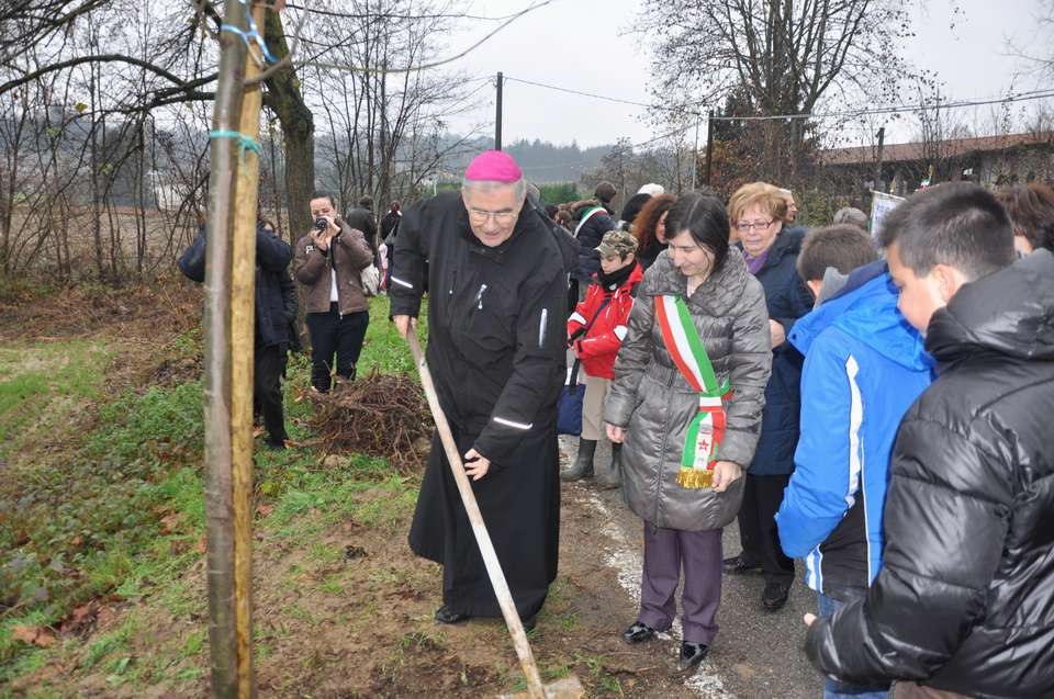 2014 REALIZZAZIONE DELL ALBERATA DI TIGLI A MONTAFIA D ASTI (AT)