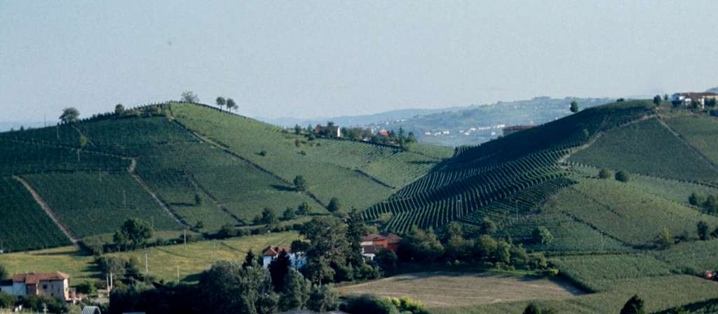La Qualità del paesaggio Vallata tra San Marzanotto e Mongardino Le produzioni legate al benessere e al tempo libero, come il vino, hanno