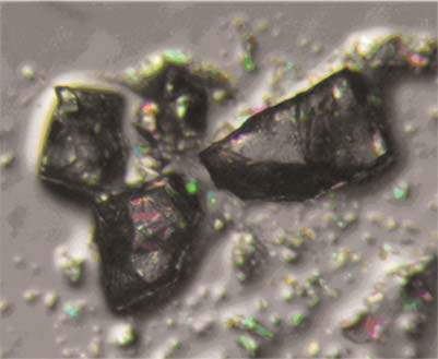 La sostanza attiva Nome comune: Spirotetramat cristalli di Spirotetramat Formula di