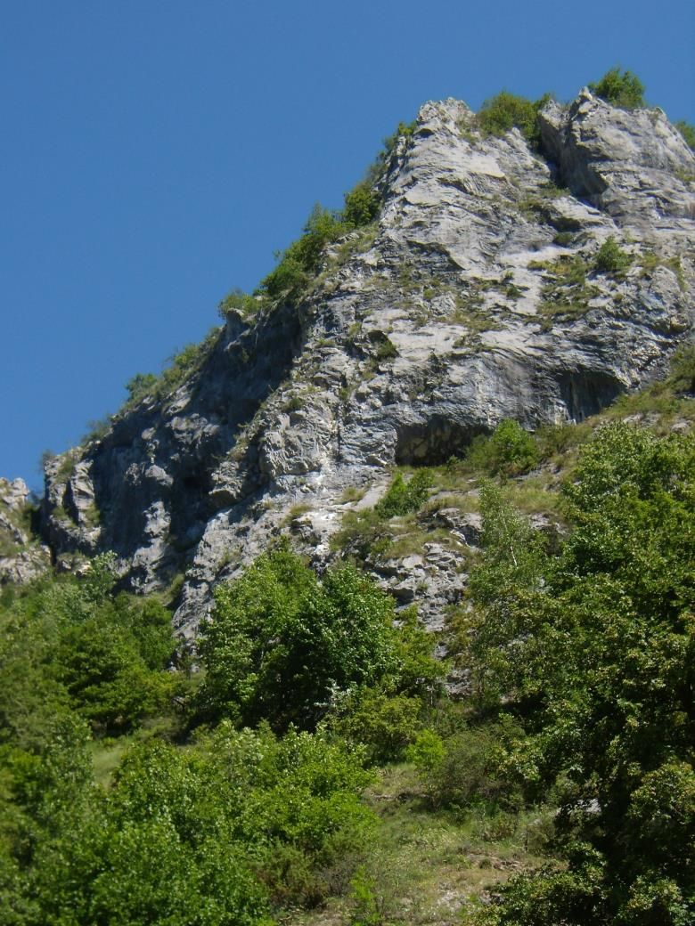 FALESIA CURNALÉT - VERNANTE SCHEDA TECNICA Altitudine: 1200 mt. slm N Settori: 5 N Vie: circa 100 Difficoltà: 4+ 8a Lunghezza: 10 35 mt.