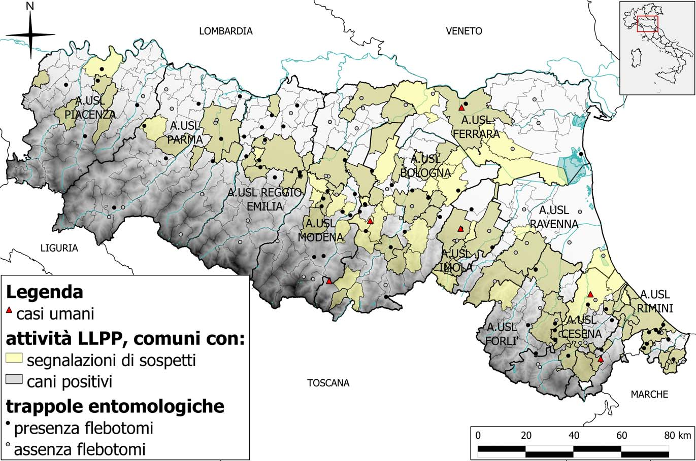 Comuni con segnalazione di