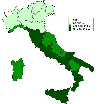 Analisi su superfici e produzione nazionali ed approfondimento sulla Sicilia e su Siracusa Aprile 2009 Cartogramma 5.