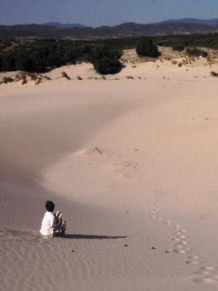 LA SARDEGNA È UN ISOLA? arte contemporanea nel Sulcis-Iglesiente primo incontro mercoledì 27 agosto 2008 ore 20.