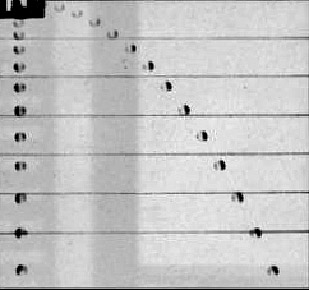 Fig. 12.1 - Fotografia stroboscopia di due oggetti che cadono dalla stessa quota: il primo ha velocità iniziale nulla, il secondo velocità iniziale con componente orizzontale diversa da zero.