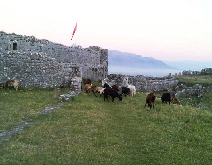 NË QOFTË SE POPULLI