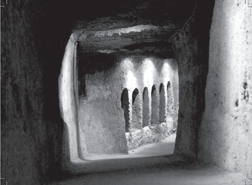 Catacombe di San Gennaro Le Catacombe di San Gennaro sono antiche aree cimiteriali sotterranee risalenti al II secolo e rappresentano il più importante monumento del Cristianesimo a Napoli.