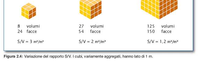 24 Caratteristiche geometriche Esaminando i casi precedenti (da 1 a 4), si può osservare come a parità di volume complessivo una diversa distribuzione delle singole parti che lo costituiscono