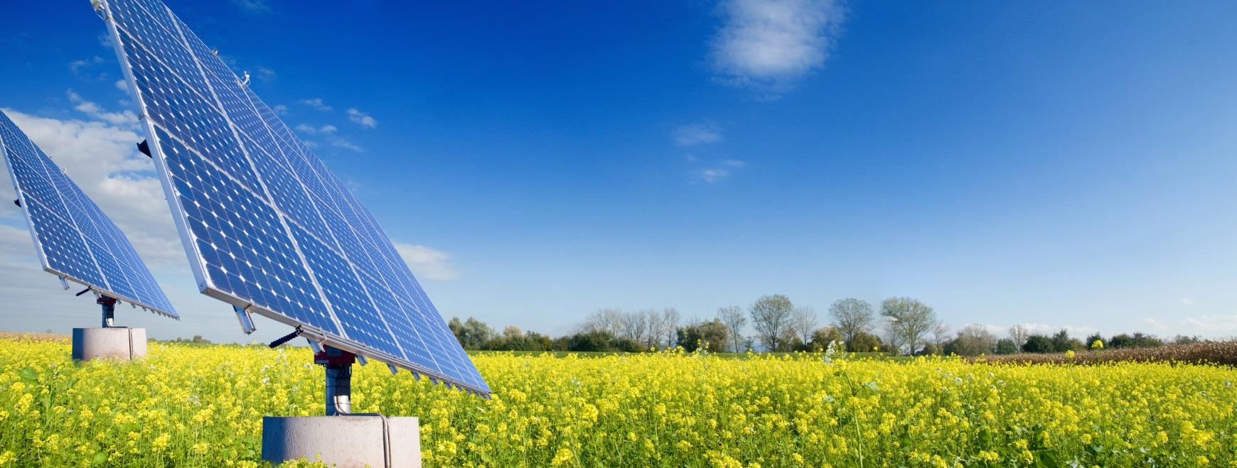 Servizi di ispezione di Impianti Tecnici Il servizio consiste nell esecuzione di ispezioni, non distruttive, termografiche e visive su pannelli fotovoltaici organizzati in campi.