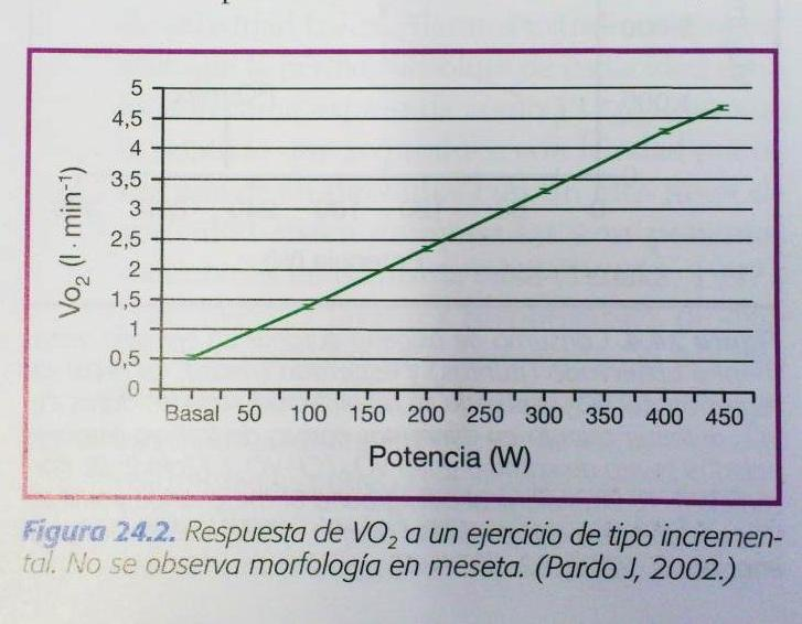 Consumo di ossigeno con carico incrementale Relazione lineare tra intensità di lavoro e consumo di ossigeno La linearità si perde quando il soggetto è in grado di aumentare l intensità dopo il VO2max