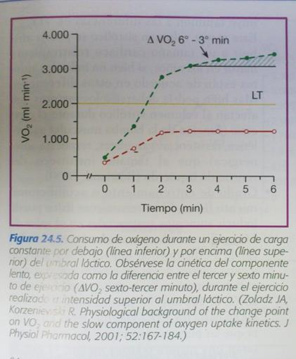 Consumo di ossigeno con carico costante Prima fase di aumento rapido (cardiodinamica). Seconda fase monoesponenziale. Terza fase di plateau.