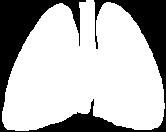 Aumenta la diffusione polmonare in esercizi massimali Aumenta il flusso sanguigno polmonare Aumenta la ventilazione polmonare Maggior numero di alveoli coinvolti negli scambi gassosi.