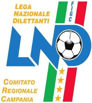 Federazione Italiana Giuoco Calcio Lega Nazionale Dilettanti DELEGAZIONE PROVINCIALE DI NAPOLI Via Strettola Sant Anna alle Paludi, 115 80142 Napoli Tel: 081.2449031 Fax: 081.