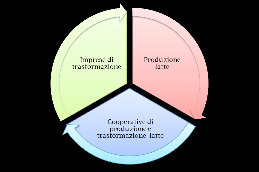 Organizzazione dell OI in tre professioni (collegi): Collegio dei trasformatori Singole imprese di trasformazione o associazioni di imprese o associazioni professionali provviste di esplicita delega