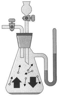 Tensione di vapore con una sola sostanza Ogni liquido possiede una tensione di vapore (la pressione del vapore generato dal liquido sul liquido stesso).