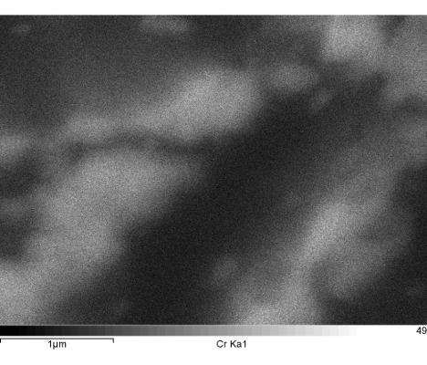 Fig. 5 - Micrografie SEM: bulk