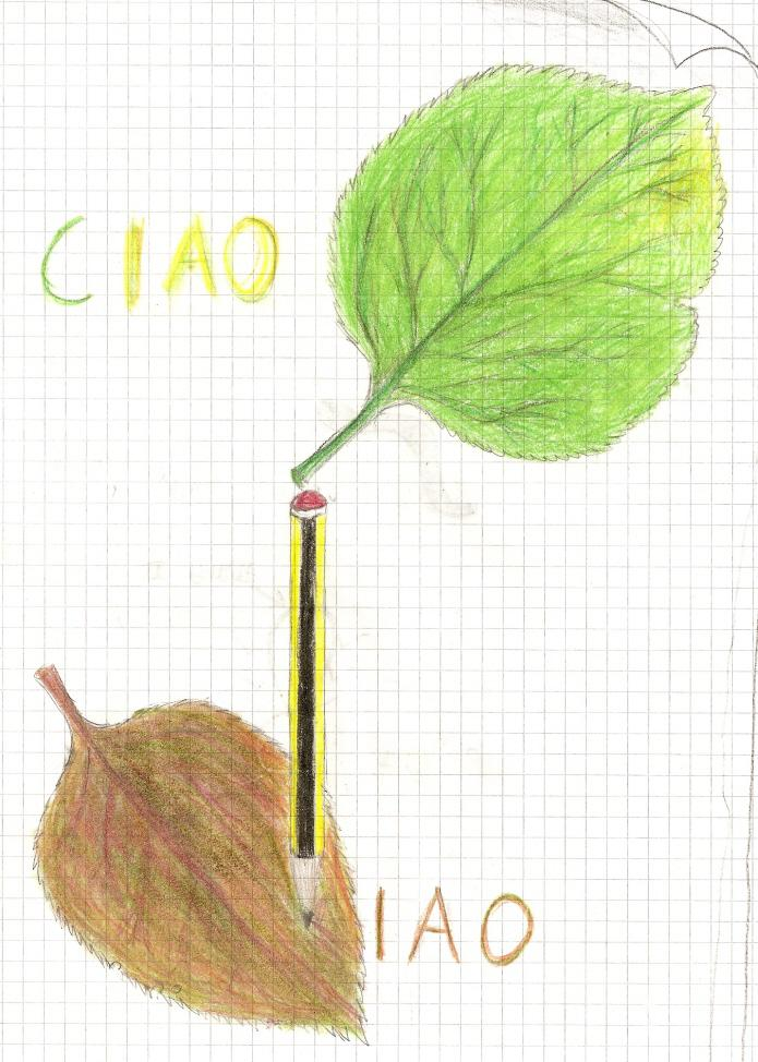 Ci divertiamo con le foglie Federica e Claudia poggiano sul foglio del quaderno le foglie che hanno raccolto e, con una penna, scrivono la parola ciao sulle foglie.