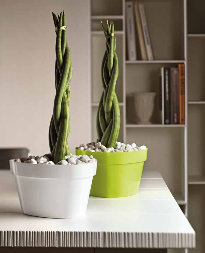 mitu tre ciotola plant bowl pflanzschale terrina coupe art. 2410 cm. 17 (cm. 18 x 17 x 11 h.) lt.