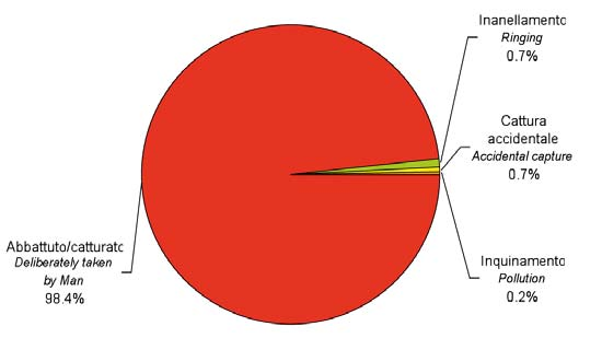 Folaga - Fulica atra Statistiche campione analizzato Recovery sample statistics Statistiche campione Est-Ita Ita-Est Ita-Ita N. record (tutti) 513 77 149 N.