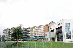 Sesto San Giovanni, 26 settembre 2015 TUMORI DELLA MAMMELLA: TERAPIA MEDICA Dr.