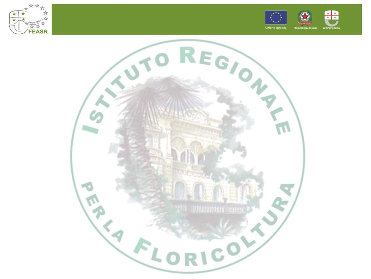 PROGRAMMA REGIONALE DI SVILUPPO RURALE 2007-2013- MISURA 111- AZIONE B) «INFORMAZIONE»