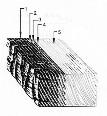 Progressione della carbonificazione: 1, srao eserno carbonizzao; 2, base dello srao eserno carbonizzao; 3, zona di pirolisi; 4, base della zona di pirolisi; 5, legno inao. 11.6.