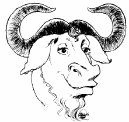 Open-source Il mondo open-source ruota attorno ai prodotti GNU, che sono disponibili su diversi sistemi operativi (OS-X, Win ) Durante il corso useremo il