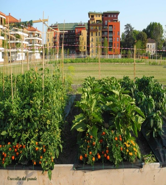 Progettazione e gestione condivisa 1. Area naturalistica 2. Giardini condivisi 1 1.