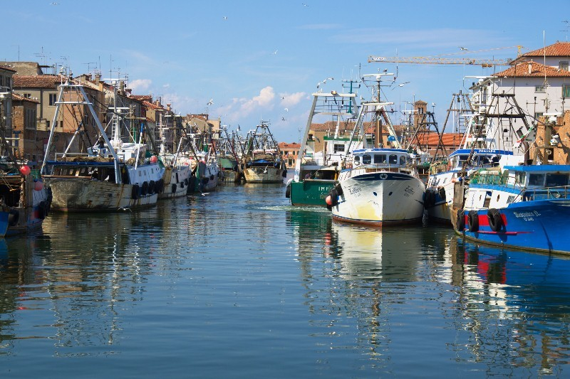 NUOVA PROGRAMMAZIONE PCP 2014-20202020 La Politica Comune della Pesca è l insieme di norme per la gestione delle flotte pescherecce e la conservazione degli stock ittici nell Ue.