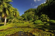 L isola di Tahiti L isola di Tahiti, situata nell arcipelago delle Isole della Società, è il centro economico, culturale e politico della Polinesia Francese.