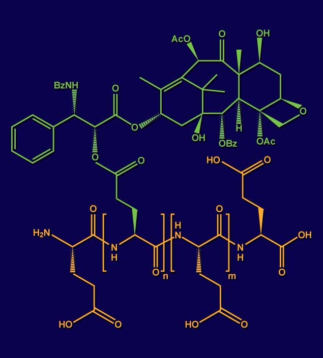 XYOTAX (paclitaxel poliglumex) A subunit of the macromolecular complex Paclitaxel complesso