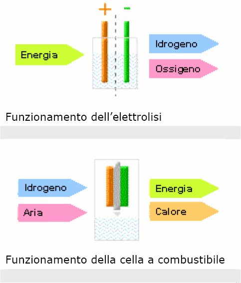 Il processo che si svolge in una cella a combustibile è inverso a quello dell elettrolisi (fig. 1.