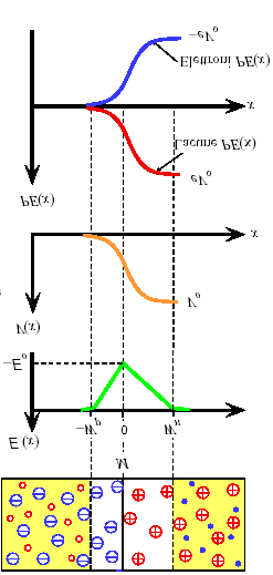 Giuzioe - L adameto del camo elettrico è determiabile mediate il teorema di Gauss e, el caso di giuzioe brusca, reseta u rofilo triagolare.