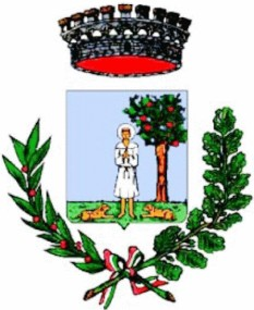 COMUNE DI SAN VITO Provincia di Cagliari Servizio Affari Generali DETERMINAZIONE DEL RESPONSABILE DEL SERVIZIO N. 154 del 17/03/2015 registro generale N.