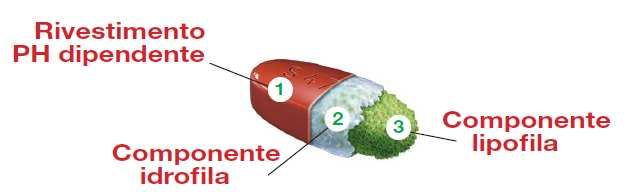 si dissolve a ph >7 ileo terminale prolunga il rilascio del 5-ASA (respinge acqua evita il