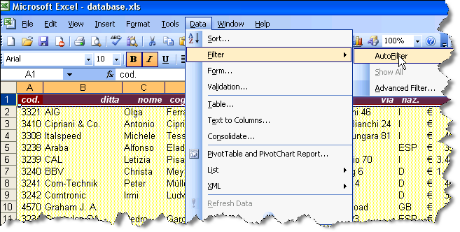 I Filtri Si seleziona la riga dei titoli Si mette un Filtro Automatico