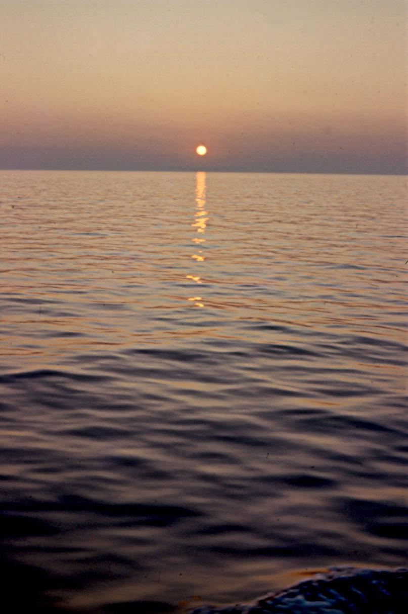 Il Mare Adriatico e la zona di studio 12 Alba