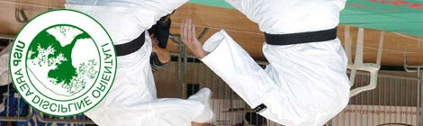 Area Discipline Orientali Settore Ju-Jitsu REGOLAMENTO E NORMATIVA D ESAMI