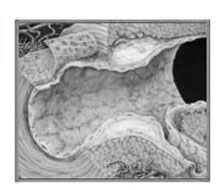 Rel. 19/9 13--9 1:17 Pagina 19 Tabella I - e retinopatia diabetica: considerazioni cliniche.