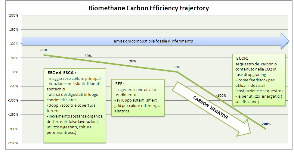 IL BILANCIODEL CARBONIODI UN IMPIANTODA1 MWEA BIOGAS : LA FOTOSINTESI SINTETIZZA