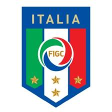 Federazione Italiana Giuoco Calcio Lega Nazionale Dilettanti Settore Giovanile e Scolastico DELEGAZIONE PROVINCIALE DI UDINE STAGIONE SPORTIVA 2014/2015 COMUNICATO UFFICIALE N.