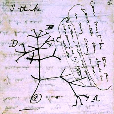 Il primo albero genealogico è stato rappresentato nel 1859 in On the Origin of Species da Charles Darwin.