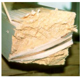 Le caratteristiche meccaniche del legno Legno STRUTTURALE sollecitato a trazione parallela