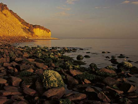 La costa e la Falesia del Parco del Monte S.artolo La costa del Parco Monte S. artolo si estende dal limite meridionale dell abitato di Gabicce Mare, fino alla foce del fiume Foglia a nord di Pesaro.