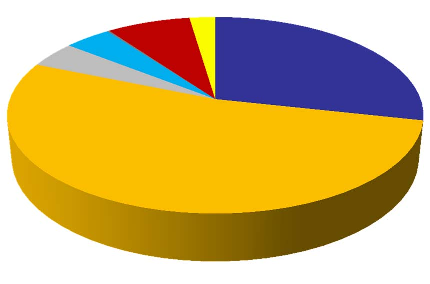 Segmento ETC/ETN: Controvalore degli scambi per asset class Anno 2011: 14,36 mld Gennaio Marzo 2012: 2,18 mln 4,35% 7,62% 2,34% 0,20% 4,23% 28,45% 2,57% 4,03% 0,27% 5,85% 4,94% 29,93% 52,81% 52,41%