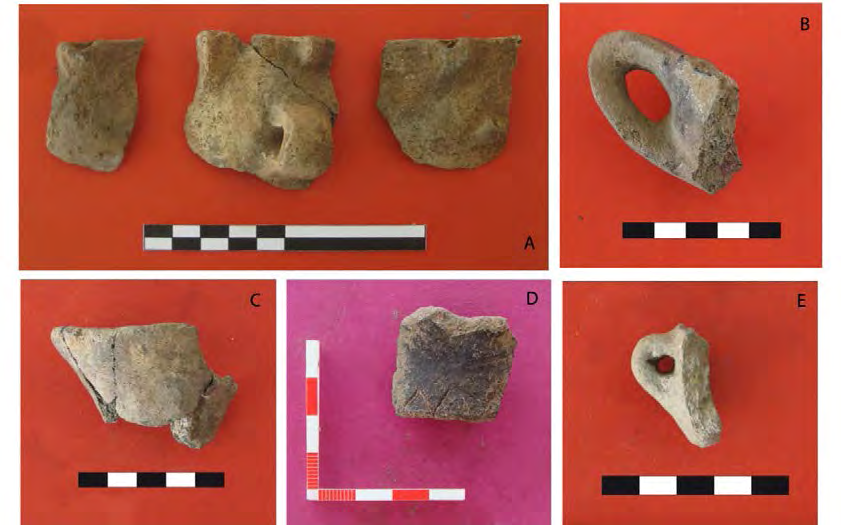 CERAMICA DECORATA (Figg. 115-126) La produzione ceramica ornata del sito costituisce uno degli elementi più significativi e identificativi della cd. facies di Mursia (cfr. supra).