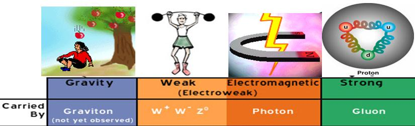 La summa di 40 anni di ricerche : il modello standard Leptons Quarks u up d down e electron n e e-neutrino c charm s strange muon n -neutrino t