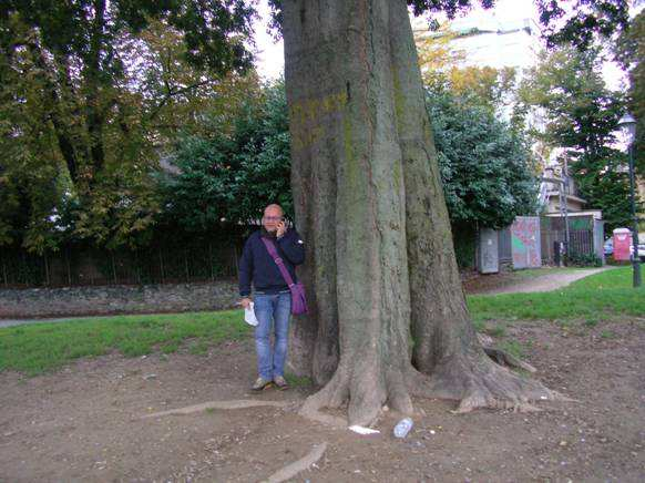 Il Bagolaro del Parco del Valentino Circonferenza: 475