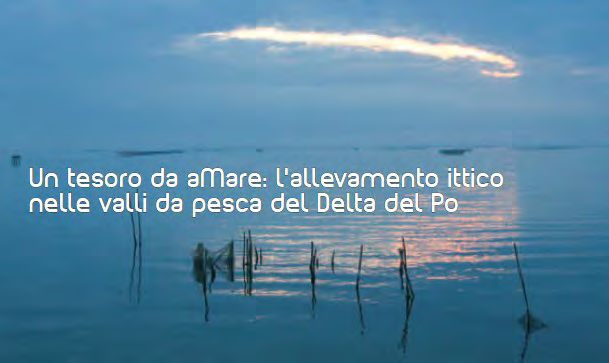 Codice attività: CM37 Scoprire e imparare le molteplici forme di vita che popolano le acque e i fondali del mare e delle lagune costiere; habitat di rilevanti importanze naturalistiche, oltre che